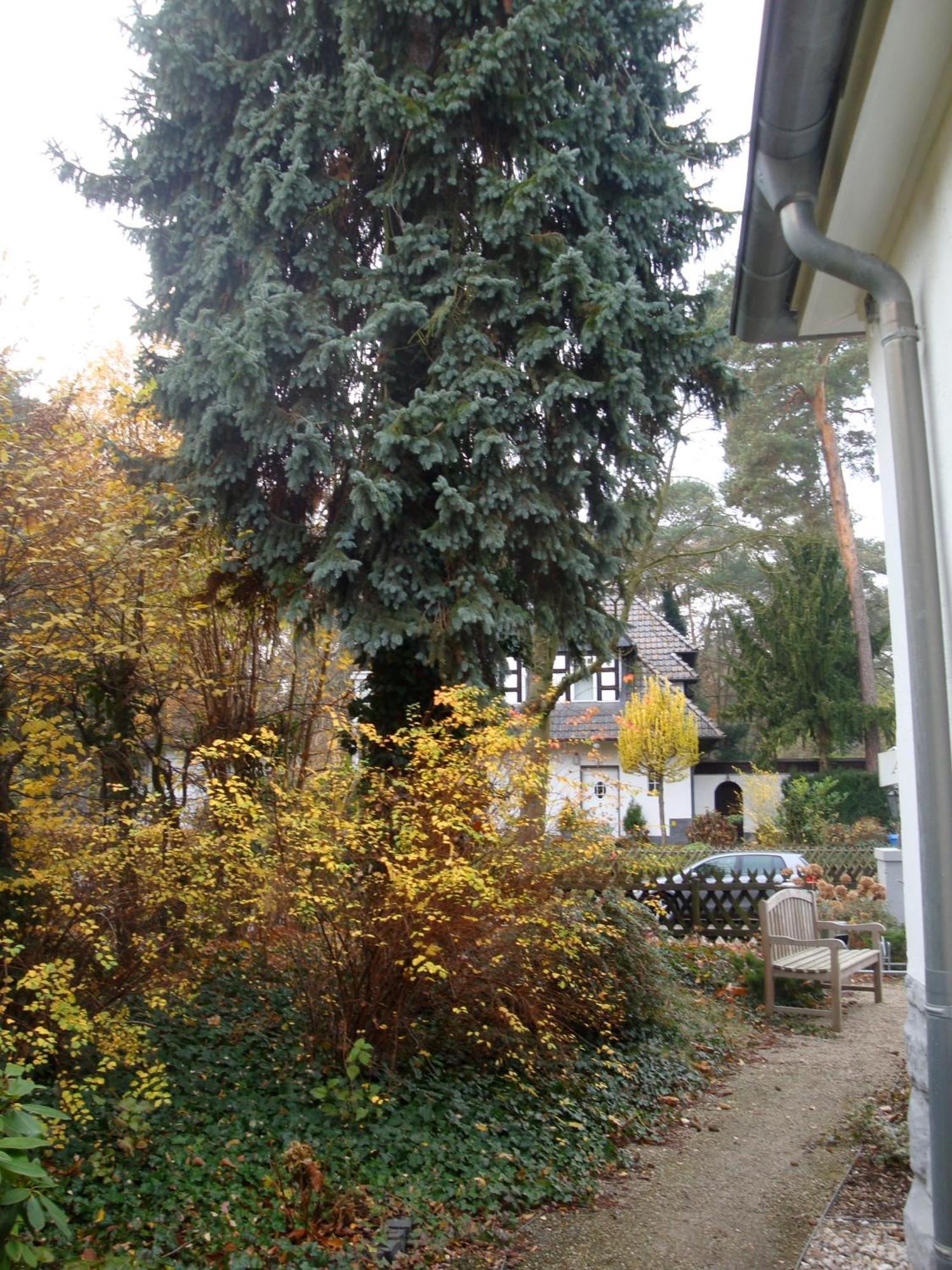 Hotel Landhaus Schlachtensee Berlin Eksteriør bilde